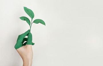 Environmental Assessment