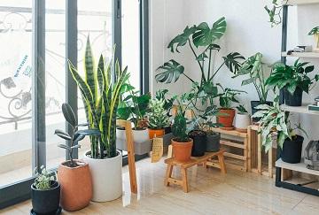 Green Materials