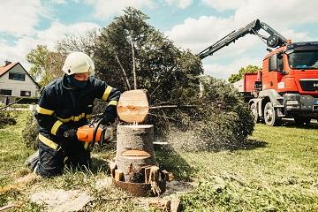 Land Clearing Tree Removal