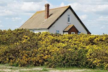 Chimney Repair Restoration