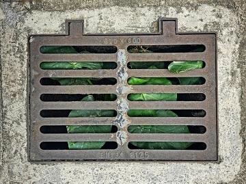 Downspout Drainage
