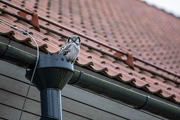 Gutter Repair Maintenance